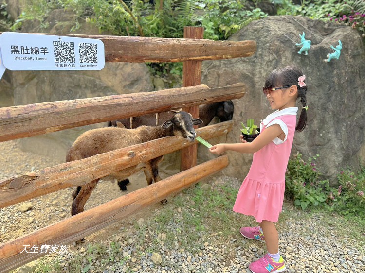 南投景點、鹿谷景點、鹿芝谷生態園區、鹿谷鹿芝谷、鹿谷動物園、鹿芝谷生態景觀園區、鹿芝谷生態園區門票、鹿芝谷生態園區停車場、鹿芝谷生態園區有什麼動物、