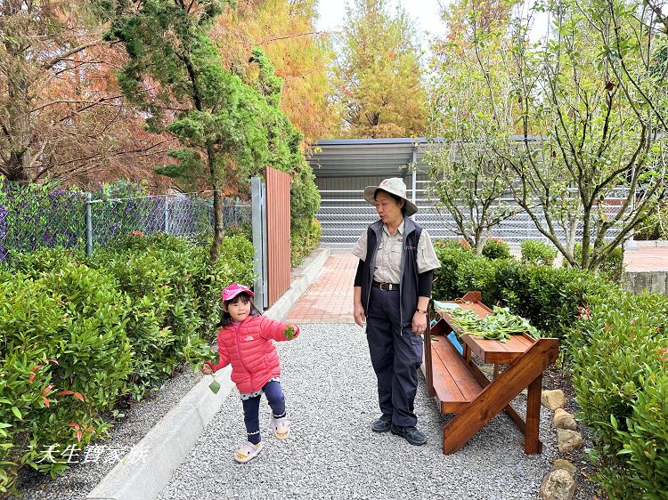 南投親子景點、水与松萌萌園、水与松萌萌園門票、水与松萌萌園門票資訊、水与松萌萌園交通