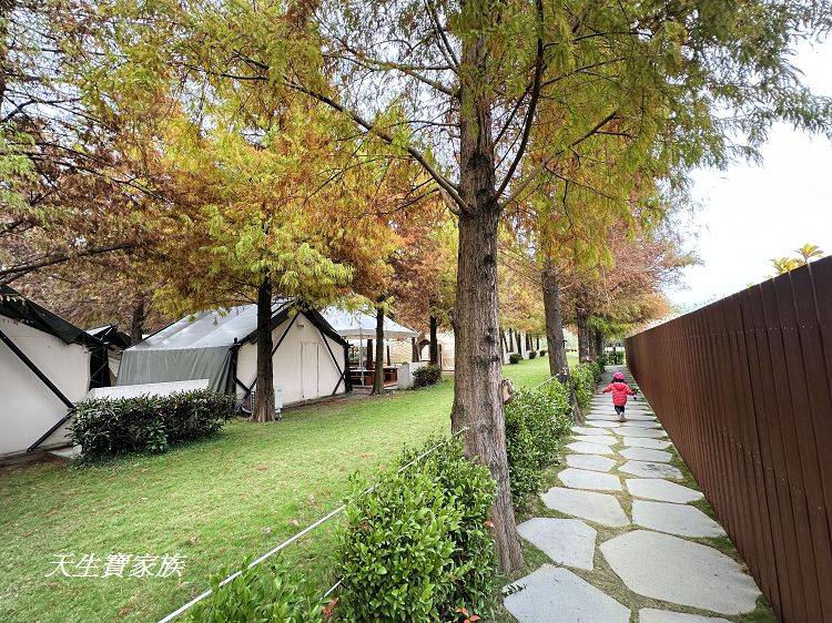 南投親子景點、水与松萌萌園、水与松萌萌園門票、水与松萌萌園門票資訊、水与松萌萌園交通