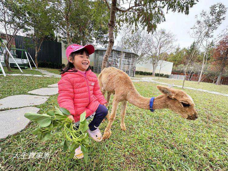 南投親子景點、水与松萌萌園、水与松萌萌園門票、水与松萌萌園門票資訊、水与松萌萌園交通