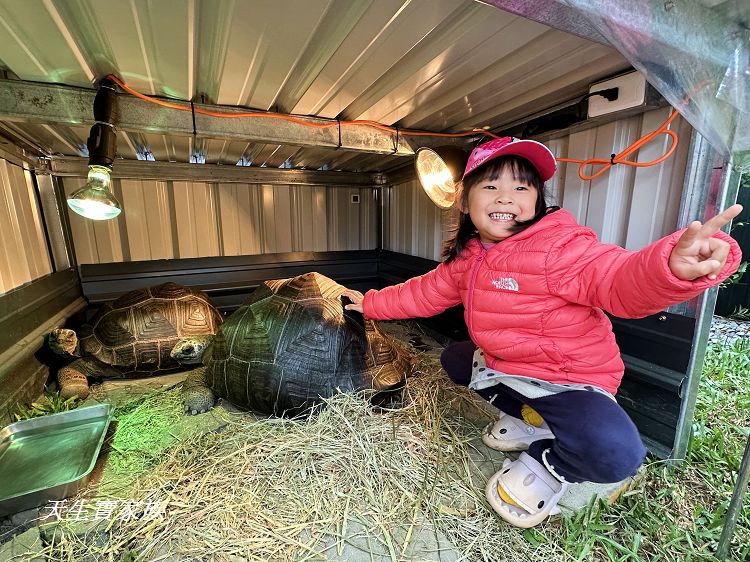 南投親子景點、水与松萌萌園、水与松萌萌園門票、水与松萌萌園門票資訊、水与松萌萌園交通