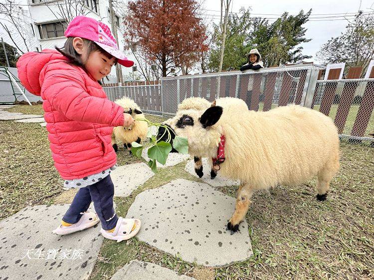 南投親子景點、水与松萌萌園、水与松萌萌園門票、水与松萌萌園門票資訊、水与松萌萌園交通