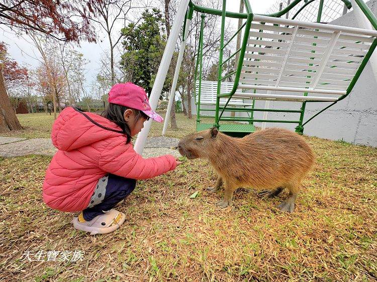 南投親子景點、水与松萌萌園、水与松萌萌園門票、水与松萌萌園門票資訊、水与松萌萌園交通