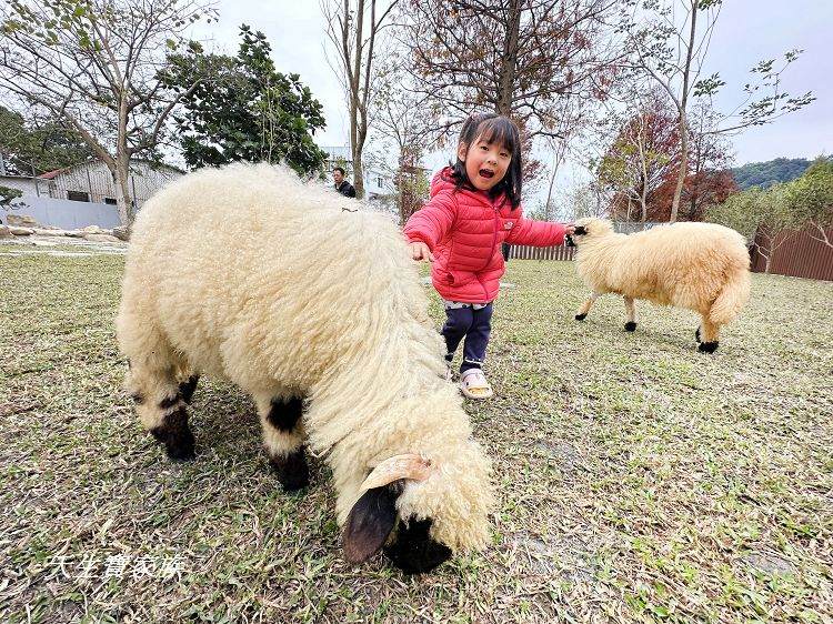 南投親子景點、水与松萌萌園、水与松萌萌園門票、水与松萌萌園門票資訊、水与松萌萌園交通