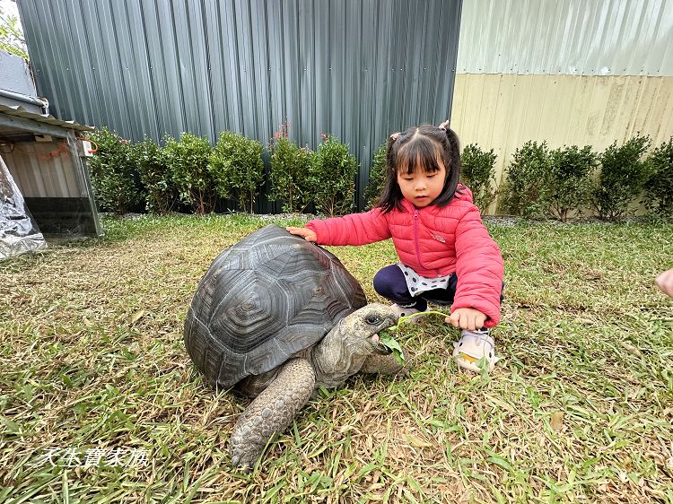 南投親子景點、水与松萌萌園、水与松萌萌園門票、水与松萌萌園門票資訊、水与松萌萌園交通