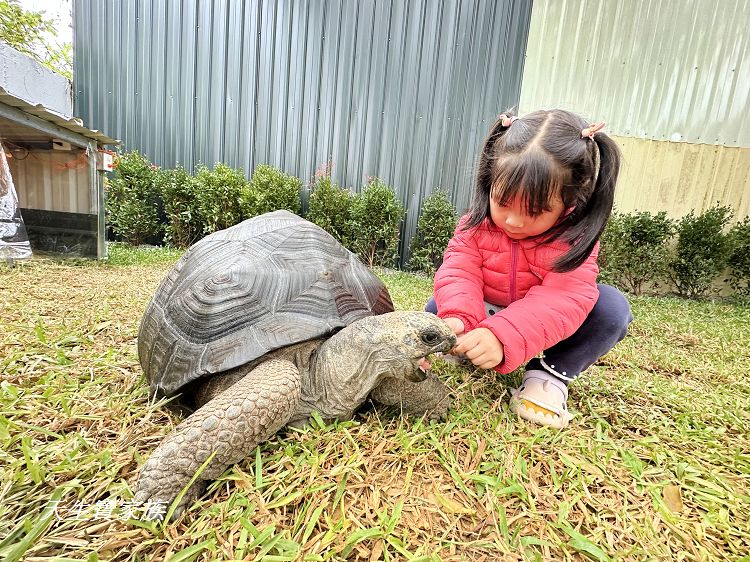 南投親子景點、水与松萌萌園、水与松萌萌園門票、水与松萌萌園門票資訊、水与松萌萌園交通