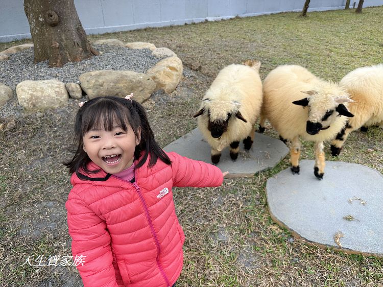 南投親子景點、水与松萌萌園、水与松萌萌園門票、水与松萌萌園門票資訊、水与松萌萌園交通