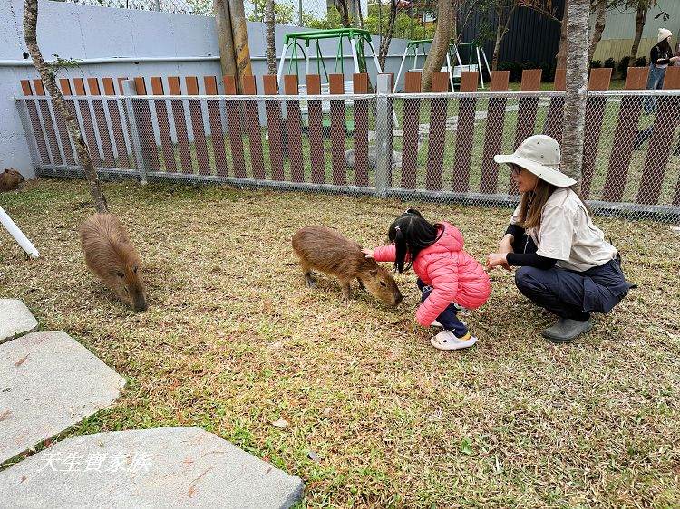 南投親子景點、水与松萌萌園、水与松萌萌園門票、水与松萌萌園門票資訊、水与松萌萌園交通