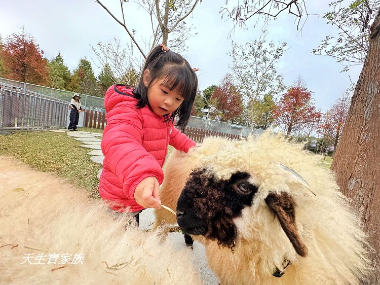 南投親子景點、水与松萌萌園、水与松萌萌園門票、水与松萌萌園門票資訊、水与松萌萌園交通