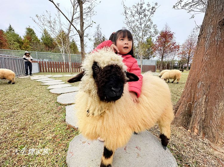 南投親子景點、水与松萌萌園、水与松萌萌園門票、水与松萌萌園門票資訊、水与松萌萌園交通