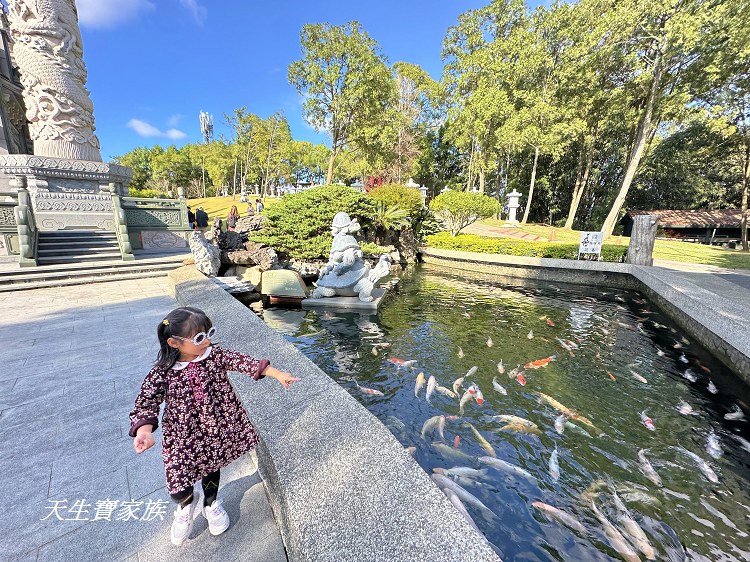 日月潭景點、日月潭文武廟、文武廟、文武廟住宿、文武廟拜什麼、文武廟故事、文武廟月老、文武廟禁忌、日月潭文武廟停車場