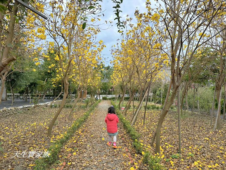 南投市賞花景點、南投景點、彰和社區快樂園、錫葉藤、彰和社區快樂園錫葉藤、南投在地人、南投隱藏版景點、彰和社區快樂園錫葉藤、錫葉藤隧道