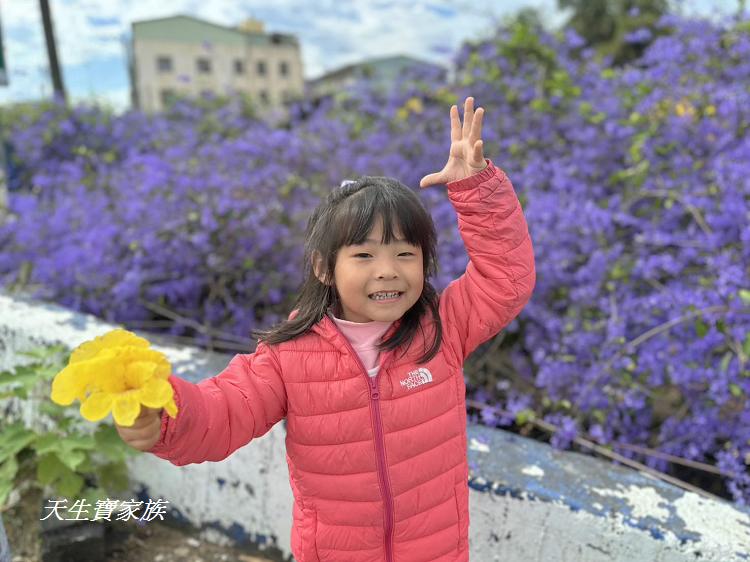 南投市賞花景點、南投景點、彰和社區快樂園、錫葉藤、彰和社區快樂園錫葉藤、南投在地人、南投隱藏版景點、彰和社區快樂園錫葉藤、錫葉藤隧道