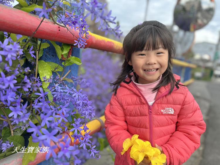 南投市賞花景點、南投景點、彰和社區快樂園、錫葉藤、彰和社區快樂園錫葉藤、南投在地人、南投隱藏版景點、彰和社區快樂園錫葉藤、錫葉藤隧道