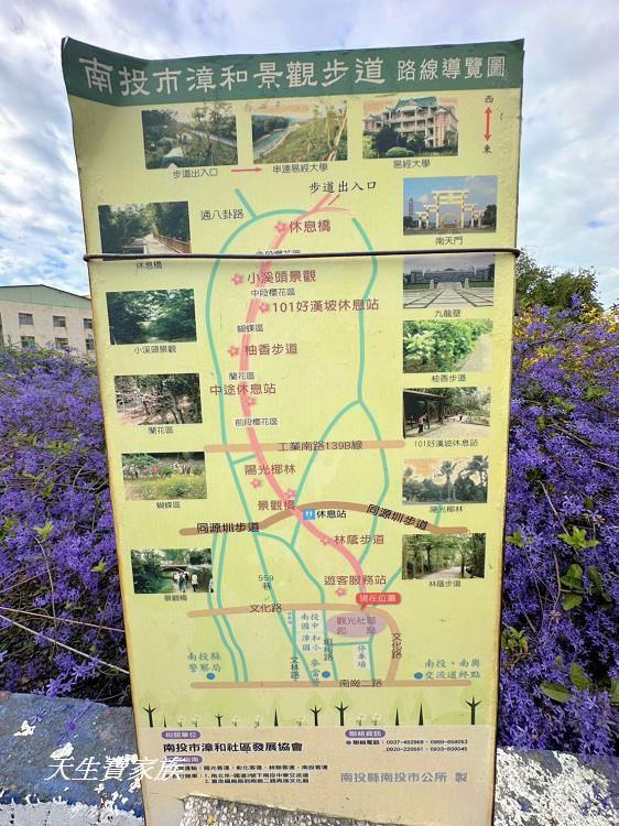 南投市賞花景點、南投景點、彰和社區快樂園、錫葉藤、彰和社區快樂園錫葉藤、南投在地人、南投隱藏版景點、彰和社區快樂園錫葉藤、錫葉藤隧道