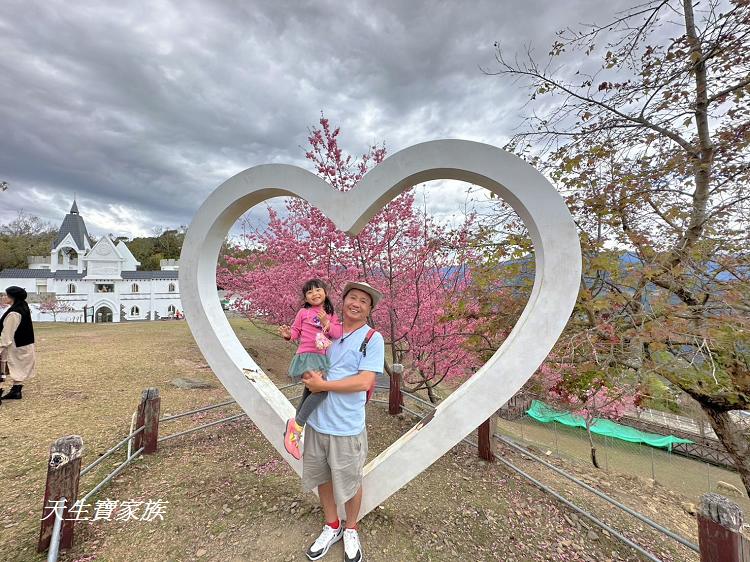 青青草原、清境農場怎麼玩、清境農場住宿、清境農場開放時間、青青草原門票、清境農場門票、清境農場綿羊秀時間、清境農場兩天一夜、清境農場交通、清境櫻花、清境農場櫻花花況