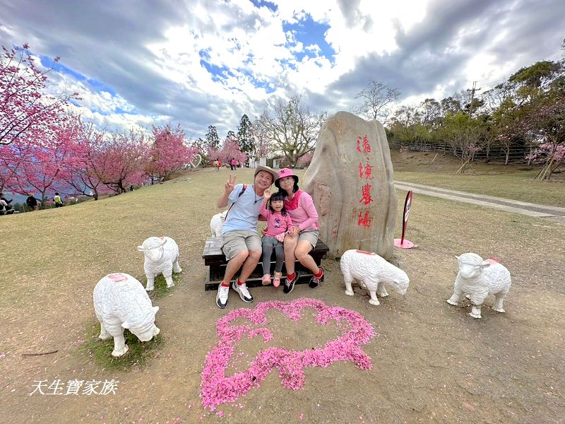 青青草原、清境農場怎麼玩、清境農場住宿、清境農場開放時間、青青草原門票、清境農場門票、清境農場綿羊秀時間、清境農場兩天一夜、清境農場交通、清境櫻花、清境農場櫻花花況