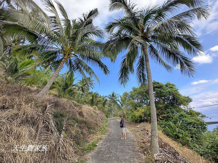 台東旅遊、金崙景點、金崙觀景台、南迴公路秘境、台東看火車、台9線秘境、金崙火車站