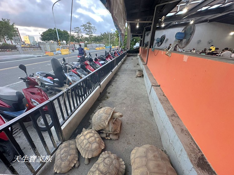 小琉球燒烤推薦、小琉球龜龜燒烤、龜龜燒烤收費方式、龜龜燒烤小朋友收費、龜龜燒烤價目表、龜龜燒烤、龜龜燒烤評論、龜龜燒烤小琉球親子餐廳、小琉球吃到飽