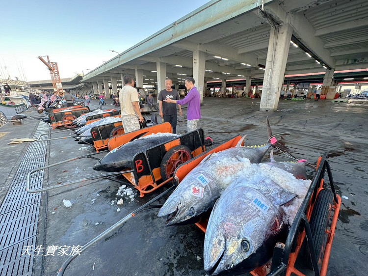 東港漁貨拍賣場、屏東黑鮪魚文化觀光季、黑鮪魚季、魚貨拍賣體驗、東港黑鮪魚推薦、東港鮪魚季活動