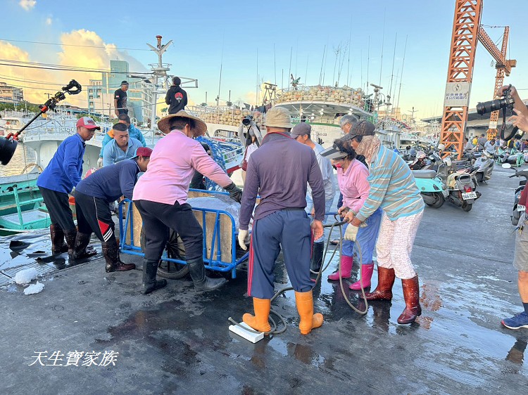 東港漁貨拍賣場、屏東黑鮪魚文化觀光季、黑鮪魚季、魚貨拍賣體驗、東港黑鮪魚推薦、東港鮪魚季活動