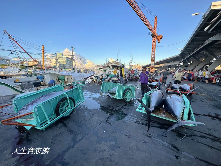 東港漁貨拍賣場、屏東黑鮪魚文化觀光季、黑鮪魚季、魚貨拍賣體驗、東港黑鮪魚推薦、東港鮪魚季活動