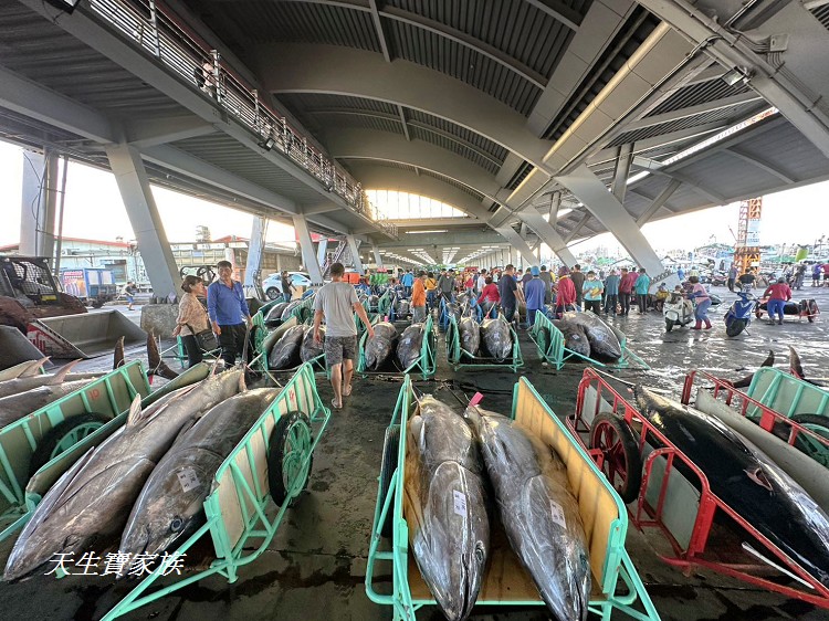 東港漁貨拍賣場、屏東黑鮪魚文化觀光季、黑鮪魚季、魚貨拍賣體驗、東港黑鮪魚推薦、東港鮪魚季活動 東港漁貨拍賣場、屏東黑鮪魚文化觀光季、黑鮪魚季、魚貨拍賣體驗、東港黑鮪魚推薦、東港鮪魚季活動