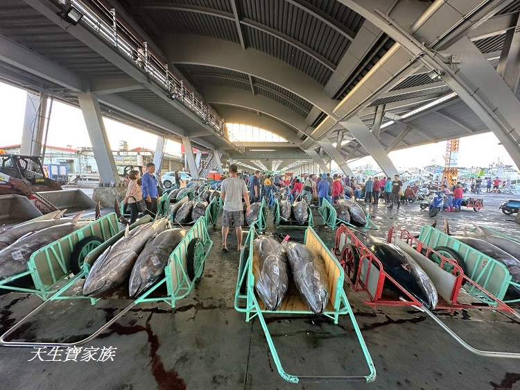 東港漁貨拍賣場、屏東黑鮪魚文化觀光季、黑鮪魚季、魚貨拍賣體驗、東港黑鮪魚推薦、東港鮪魚季活動