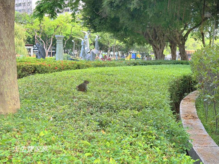 台中親子公園推薦、北屯兒童公園、北屯兒童公園停車場、北屯兒童公園附近美食、北屯兒童公園林間探索遊戲場