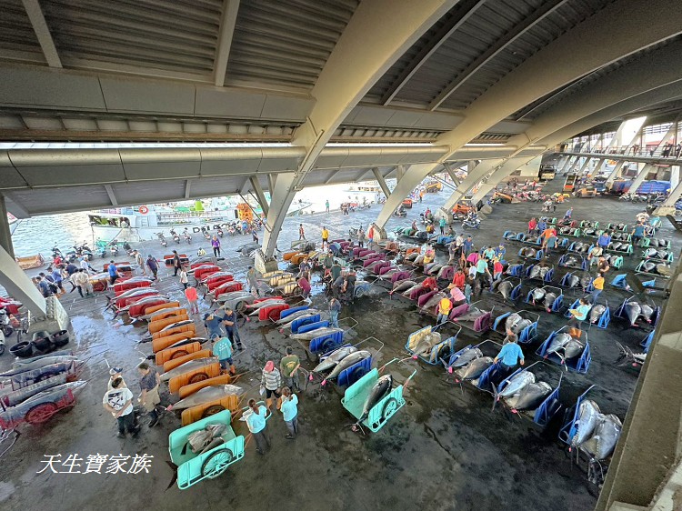 東港漁貨拍賣場、屏東黑鮪魚文化觀光季、黑鮪魚季、魚貨拍賣體驗、東港黑鮪魚推薦、東港鮪魚季活動