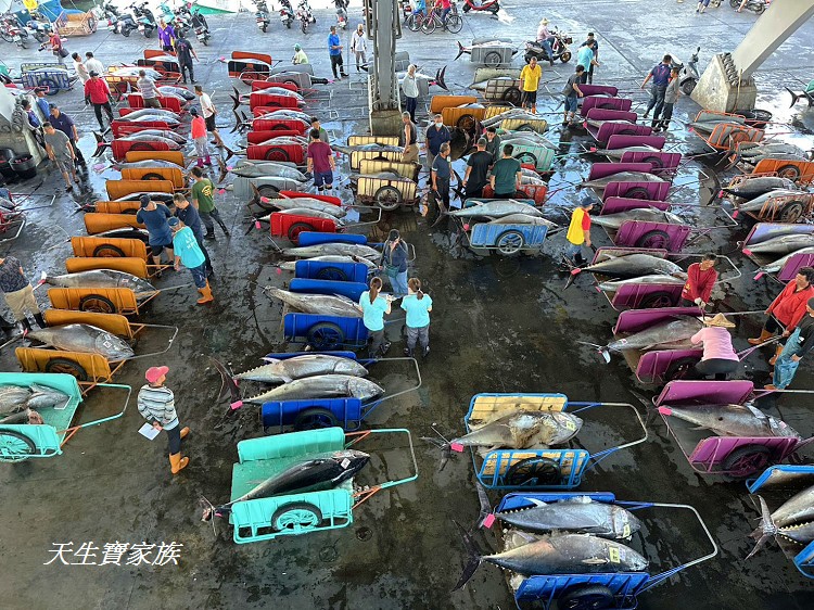 東港漁貨拍賣場、屏東黑鮪魚文化觀光季、黑鮪魚季、魚貨拍賣體驗、東港黑鮪魚推薦、東港鮪魚季活動