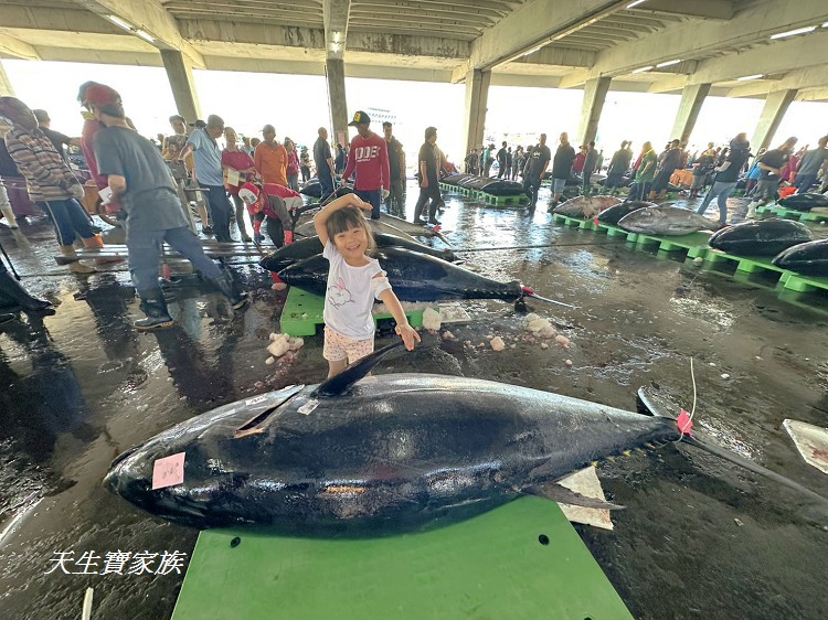 網站近期文章：屏東【東港漁貨拍賣場】超壯觀！黑鮪魚文化觀光季～一早感受海味人生