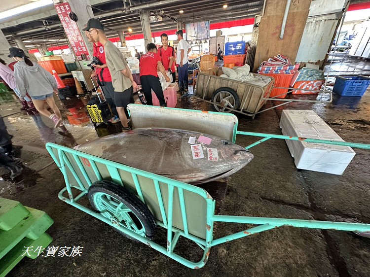 東港漁貨拍賣場、屏東黑鮪魚文化觀光季、黑鮪魚季、魚貨拍賣體驗、東港黑鮪魚推薦、東港鮪魚季活動
