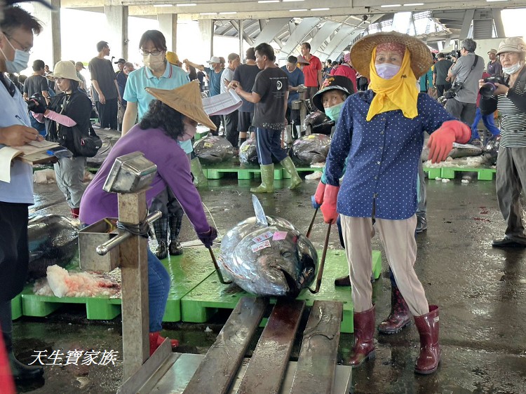東港漁貨拍賣場、屏東黑鮪魚文化觀光季、黑鮪魚季、魚貨拍賣體驗、東港黑鮪魚推薦、東港鮪魚季活動
