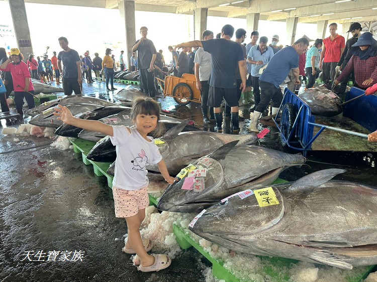 東港漁貨拍賣場、屏東黑鮪魚文化觀光季、黑鮪魚季、魚貨拍賣體驗、東港黑鮪魚推薦、東港鮪魚季活動