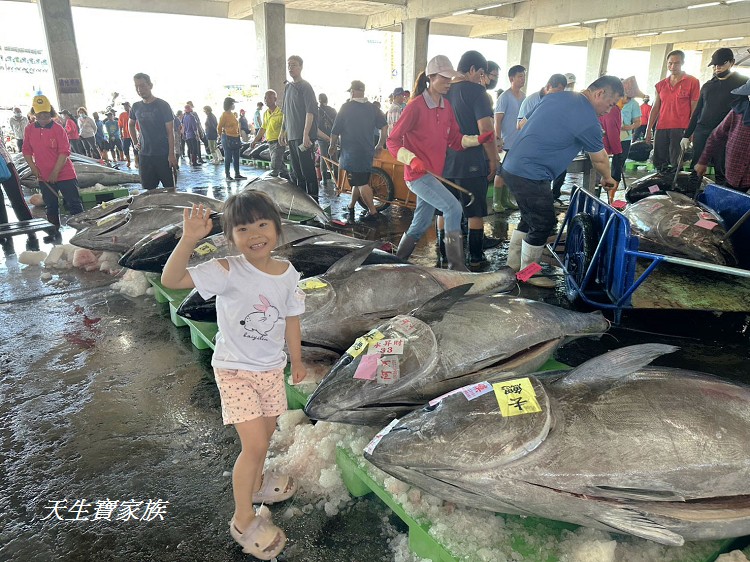 東港漁貨拍賣場、屏東黑鮪魚文化觀光季、黑鮪魚季、魚貨拍賣體驗、東港黑鮪魚推薦、東港鮪魚季活動