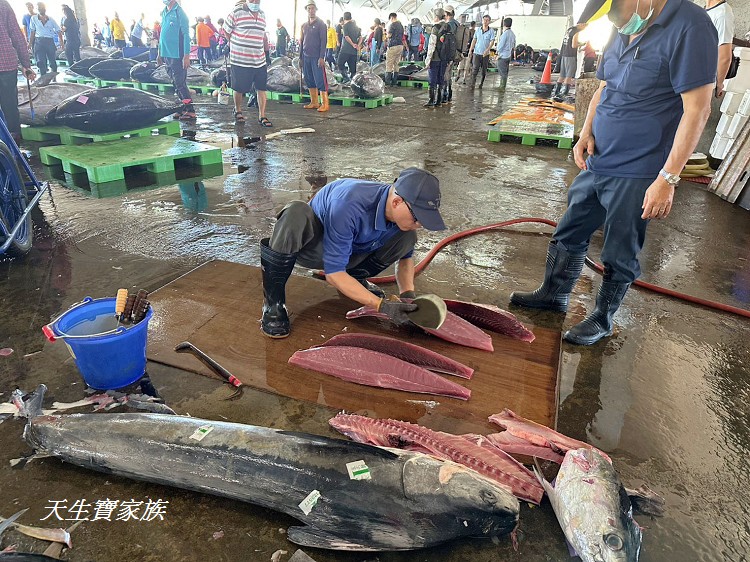 東港漁貨拍賣場、屏東黑鮪魚文化觀光季、黑鮪魚季、魚貨拍賣體驗、東港黑鮪魚推薦、東港鮪魚季活動