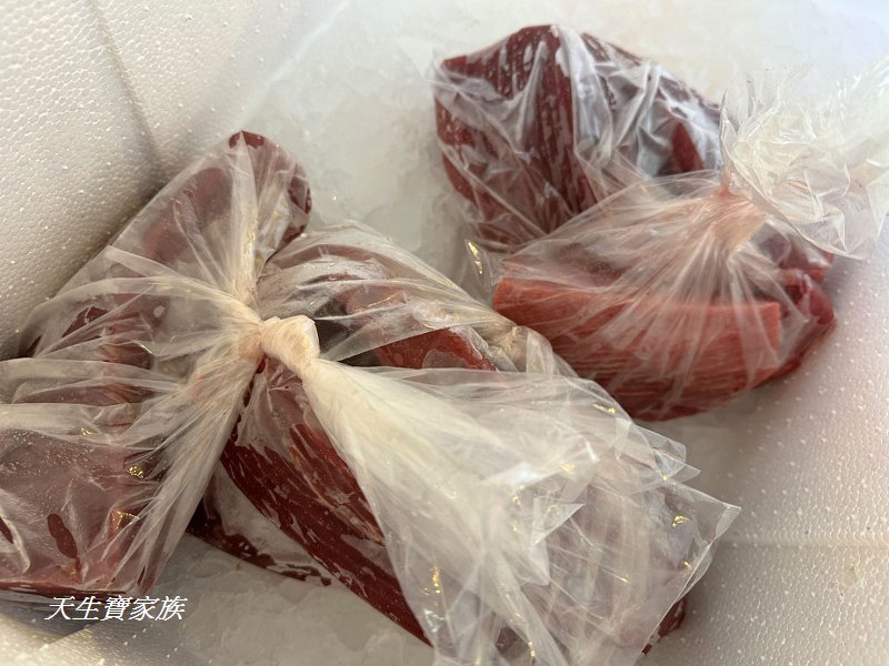 東港漁貨拍賣場、屏東黑鮪魚文化觀光季、黑鮪魚季、魚貨拍賣體驗、東港黑鮪魚推薦、東港鮪魚季活動