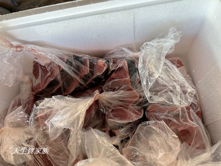 東港漁貨拍賣場、屏東黑鮪魚文化觀光季、黑鮪魚季、魚貨拍賣體驗、東港黑鮪魚推薦、東港鮪魚季活動