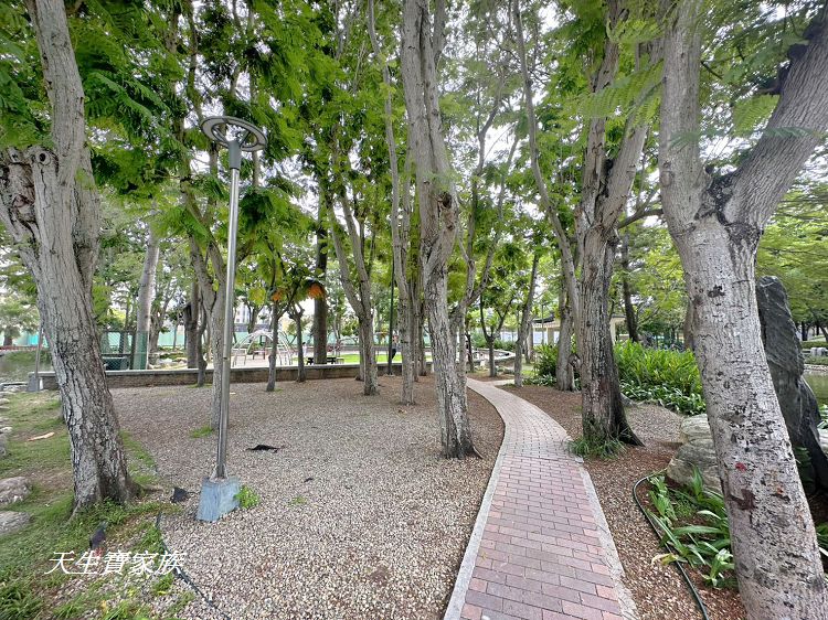 台中親子公園推薦、北屯兒童公園、北屯兒童公園停車場、北屯兒童公園附近美食、北屯兒童公園林間探索遊戲場