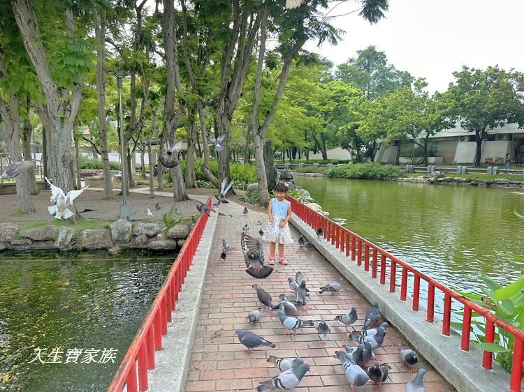 台中親子公園推薦、北屯兒童公園、北屯兒童公園停車場、北屯兒童公園附近美食、北屯兒童公園林間探索遊戲場