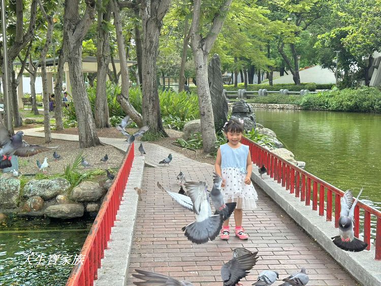 台中親子公園推薦、北屯兒童公園、北屯兒童公園停車場、北屯兒童公園附近美食、北屯兒童公園林間探索遊戲場