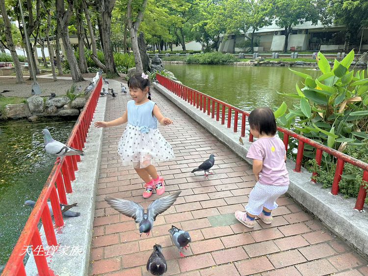 台中親子公園推薦、北屯兒童公園、北屯兒童公園停車場、北屯兒童公園附近美食、北屯兒童公園林間探索遊戲場