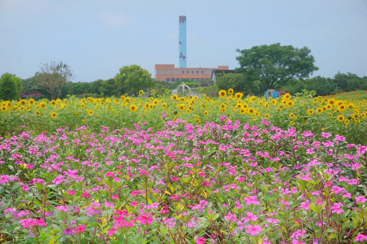 后里景點、后里環保公園、后里環保公園 花田綠廊、后里環保公園車宿、后里環保公園車泊、后里花田綠廊、后里花田綠廊遊客中心