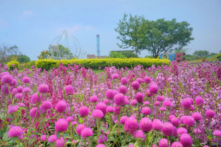 后里景點、后里環保公園、后里環保公園 花田綠廊、后里環保公園車宿、后里環保公園車泊、后里花田綠廊、后里花田綠廊遊客中心