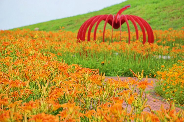 后里景點、后里環保公園、后里環保公園 花田綠廊、后里環保公園車宿、后里環保公園車泊、后里花田綠廊、后里花田綠廊遊客中心