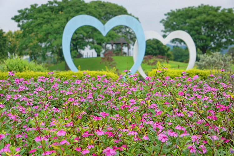 后里景點、后里環保公園、后里環保公園 花田綠廊、后里環保公園車宿、后里環保公園車泊、后里花田綠廊、后里花田綠廊遊客中心
