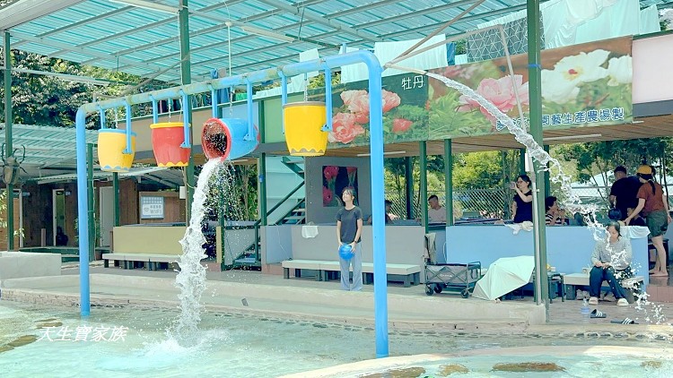 賽德克公主夢幻園區、賽德克公主夢幻園區門票、南投仁愛鄉賽德克公主露營區、夢谷瀑布賽德克公主夢幻園區、夢谷瀑布露營區、夢谷瀑布親子農場、夢谷瀑布烤肉、
