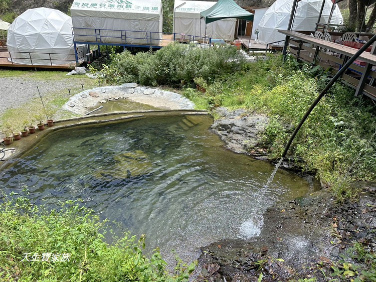 賽德克公主夢幻園區、賽德克公主夢幻園區門票、南投仁愛鄉賽德克公主露營區、夢谷瀑布賽德克公主夢幻園區、夢谷瀑布露營區、夢谷瀑布親子農場、夢谷瀑布烤肉、