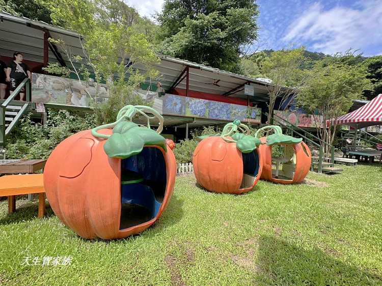 賽德克公主夢幻園區、賽德克公主夢幻園區門票、南投仁愛鄉賽德克公主露營區、夢谷瀑布賽德克公主夢幻園區、夢谷瀑布露營區、夢谷瀑布親子農場、夢谷瀑布烤肉、